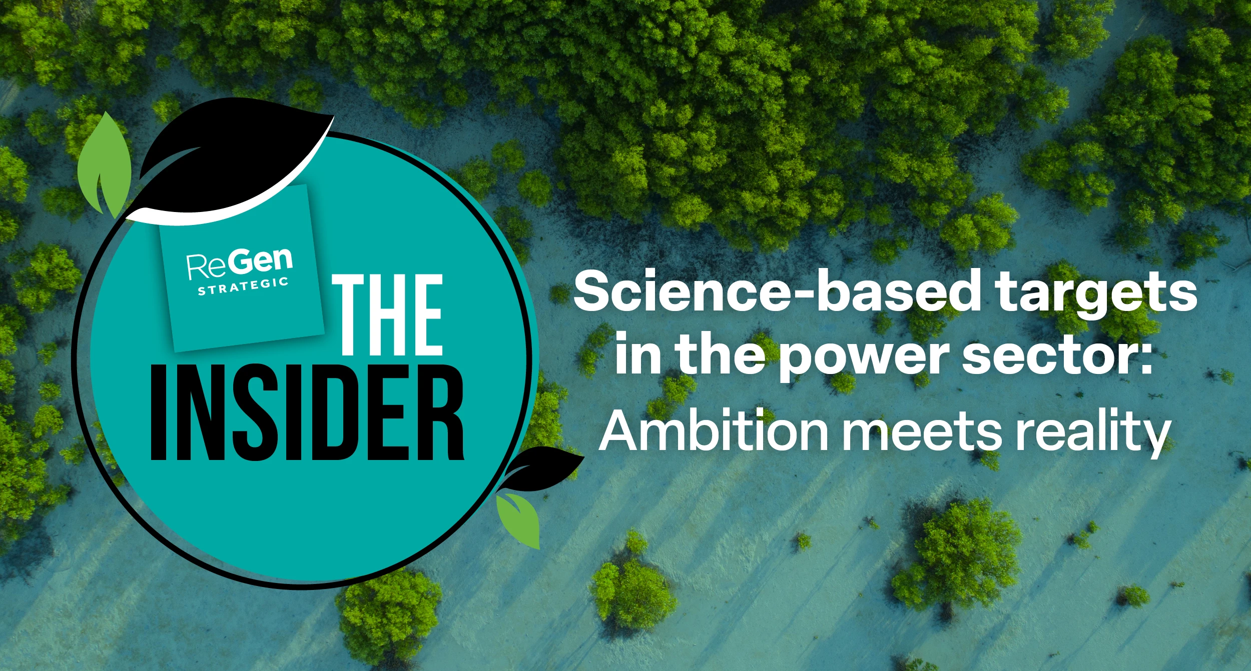 P1j5t4v70nu331jth2d88v4vso7